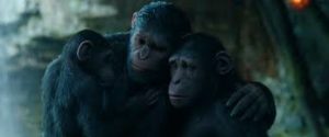 war of apes