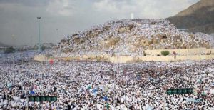 arafah 2