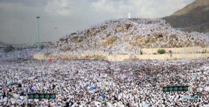 arafah 2