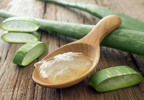 Aloe Vera on the Hair