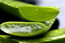 aloe vera gel