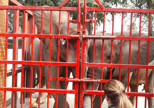 Karachi Zoo (1)