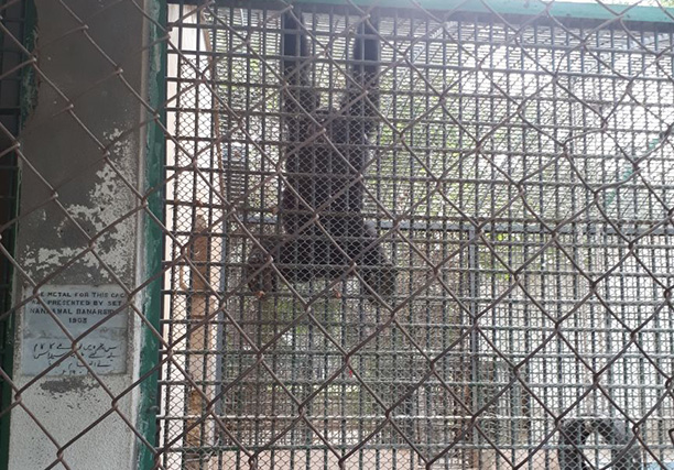 Karachi Zoo (25)